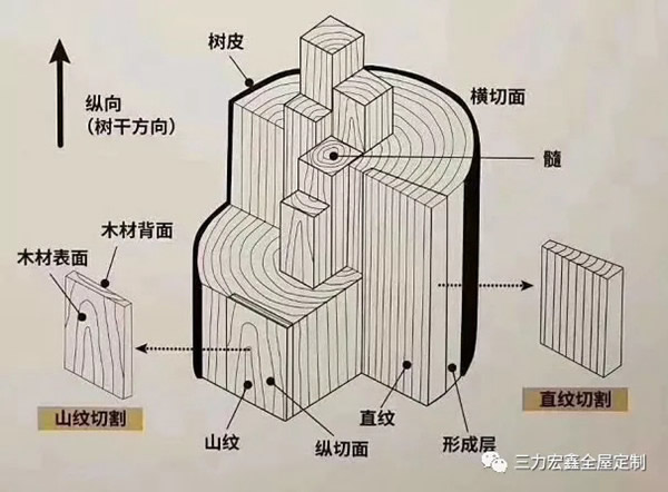 三力宏鑫：烹饪一棵原木