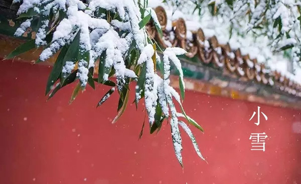 A8空间极简定制:小雪，让家因爱而温暖